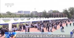 事关意愿填报！高校招生章程必看的焦点